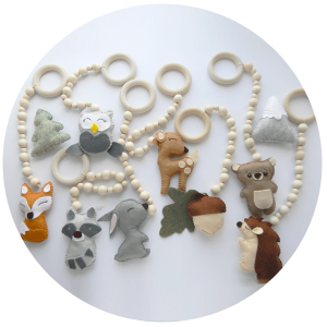 Play Gym Toys Play Gym Toys